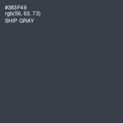 #383F49 - Ship Gray Color Image